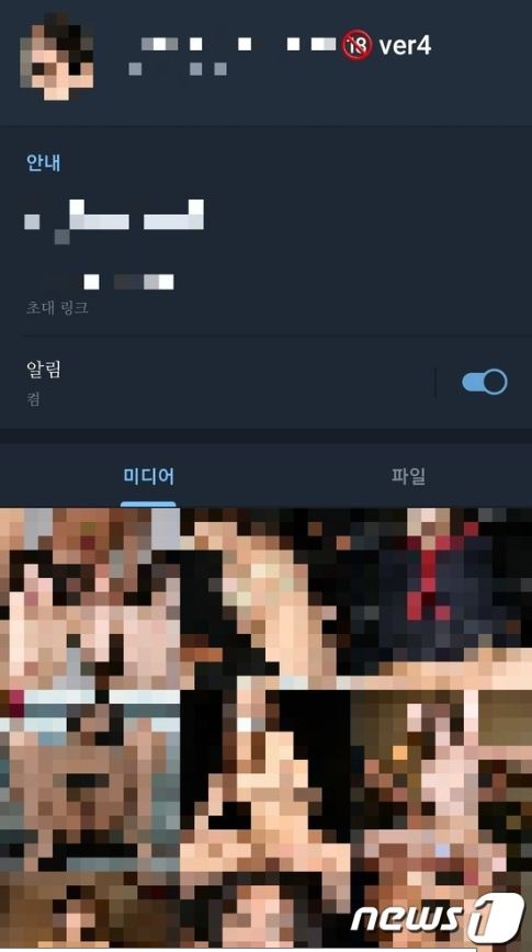 /사진=뉴스1 자료화면(텔레그램 상 여성 아이돌 딥페이크 사진 리스트)