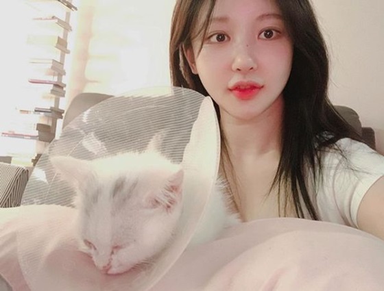 /사진=아지땅 인스타그램