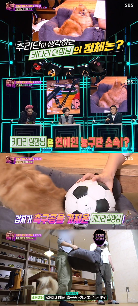 /사진=SBS '방콕떼창단' 방송 화면 캡처