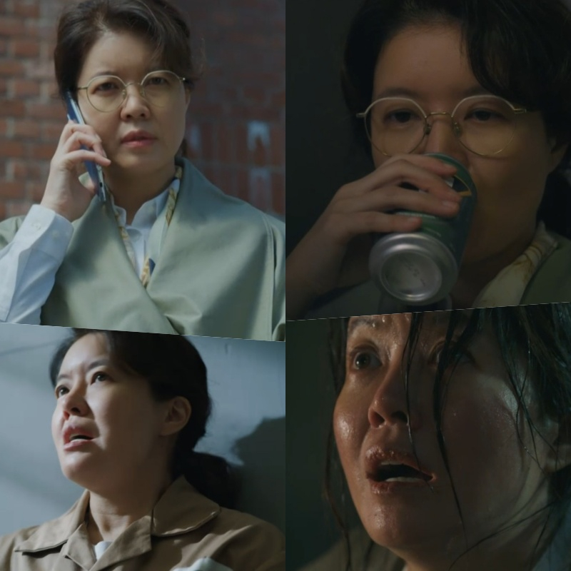 /사진=tvN