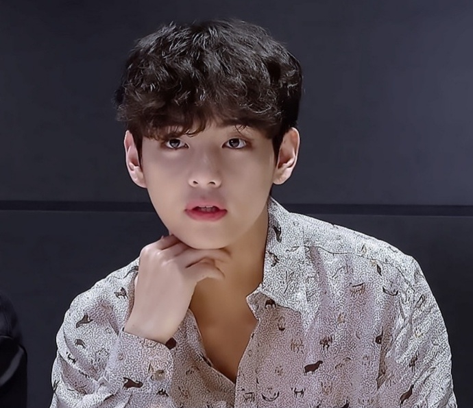 방탄소년단 뷔(BTS V)