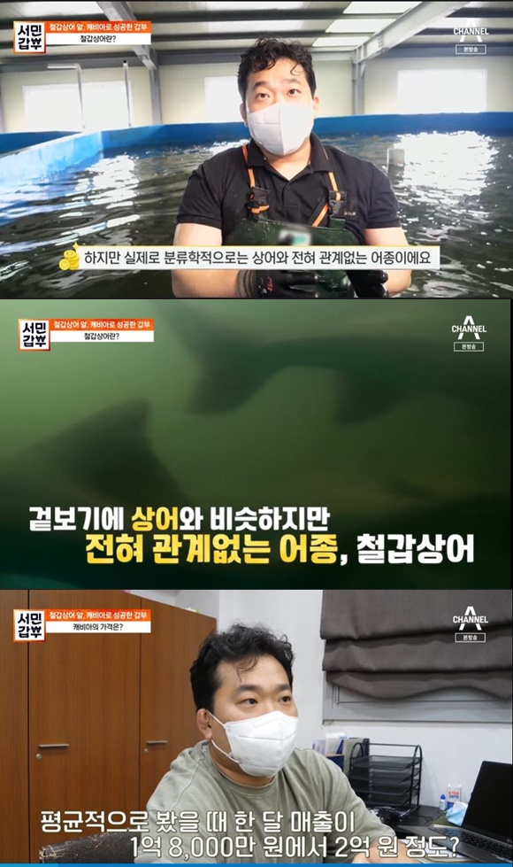 /사진= 채널A '서민갑부' 방송 화면