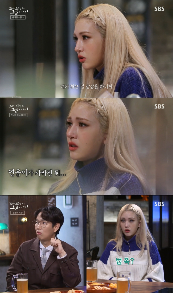 가수 전소미 /사진=SBS '꼬꼬무' 방송 캡처