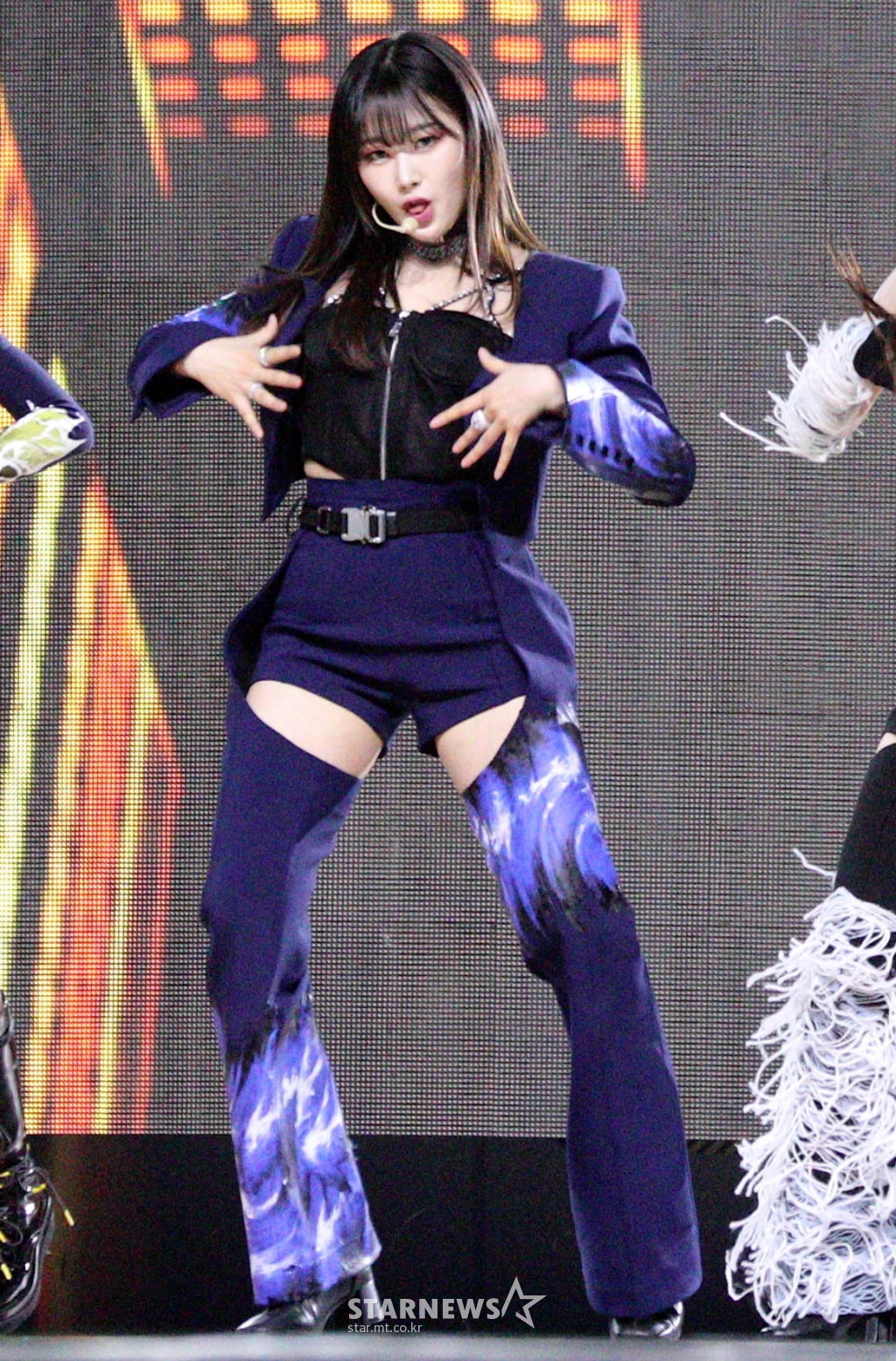 사진