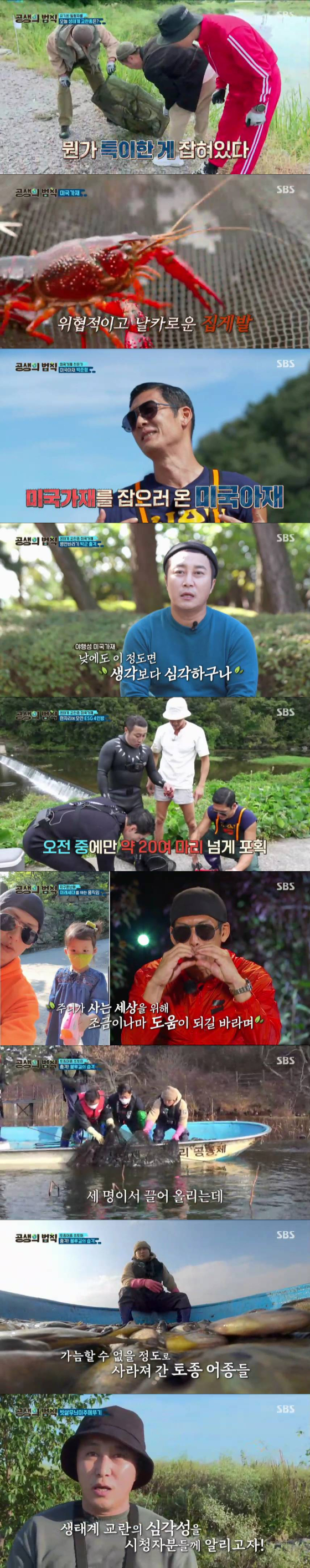 SBS 신년특집 '공생의 법칙'이 종영했다./사진제공=SBS