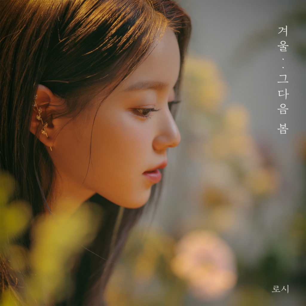 /사진= 도로시컴퍼니