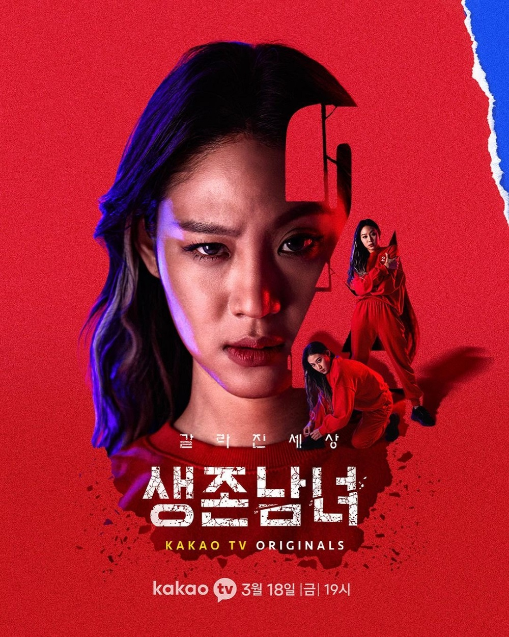 사진