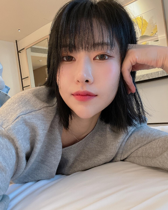 사진