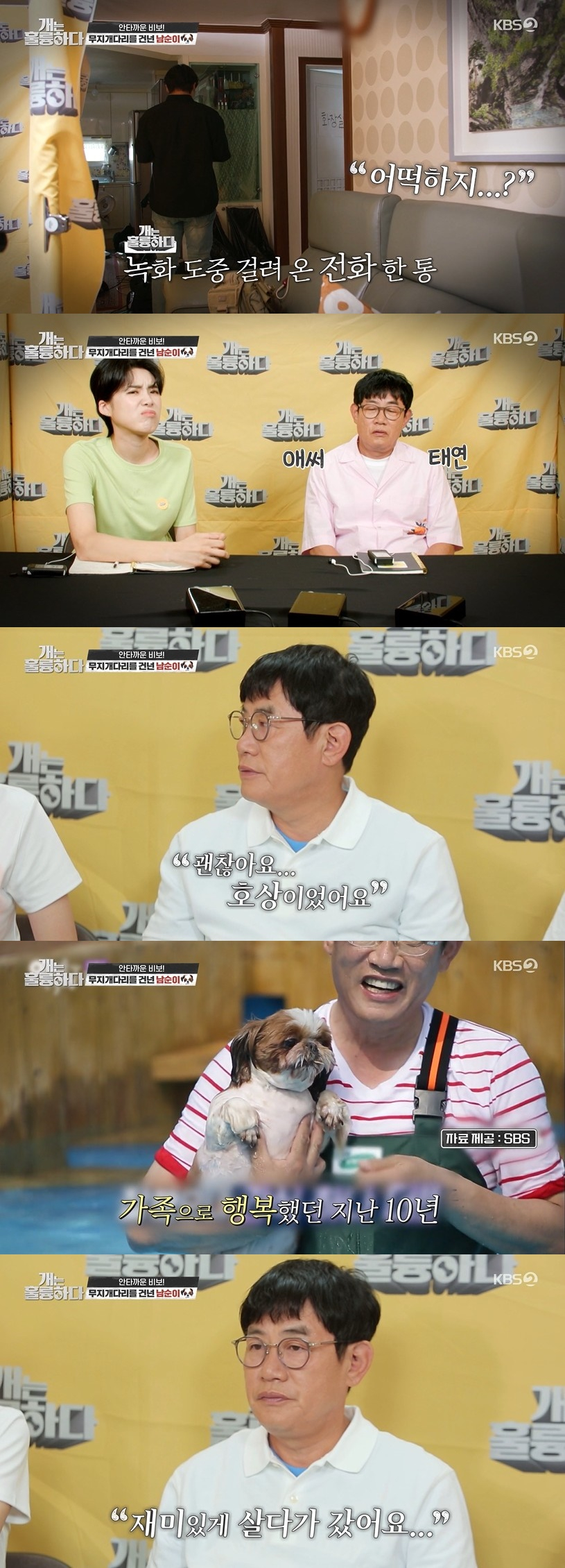 /사진=KBS 2TV 예능 프로그램 '개는 훌륭하다' 방송화면