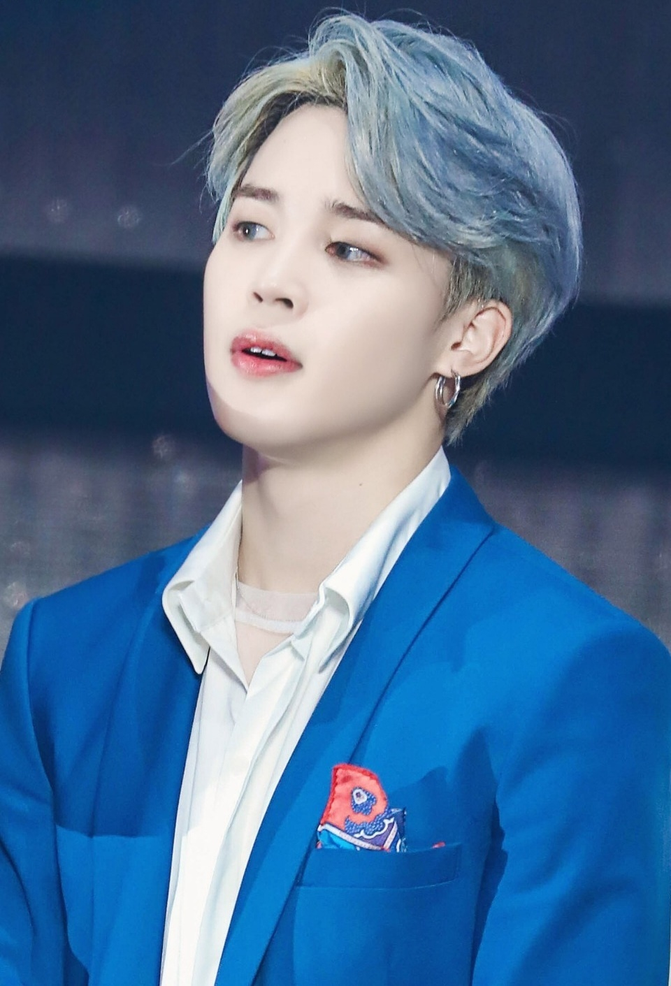 사진