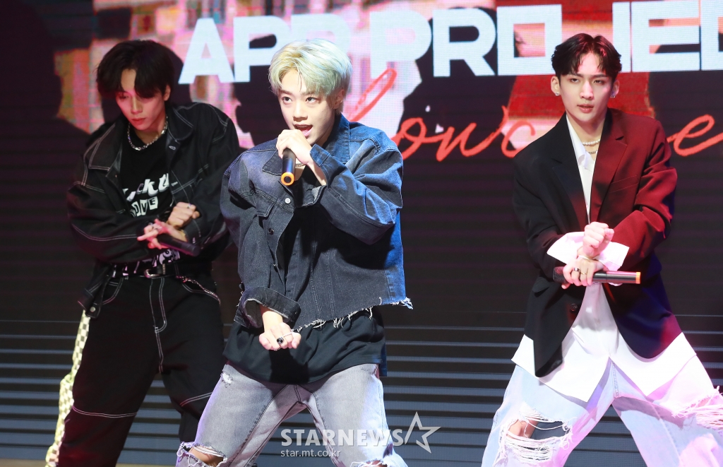 사진