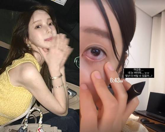 /사진=야옹이 작가 인스타그램