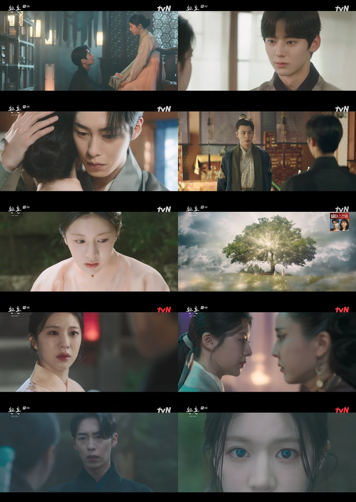 /사진=tvN