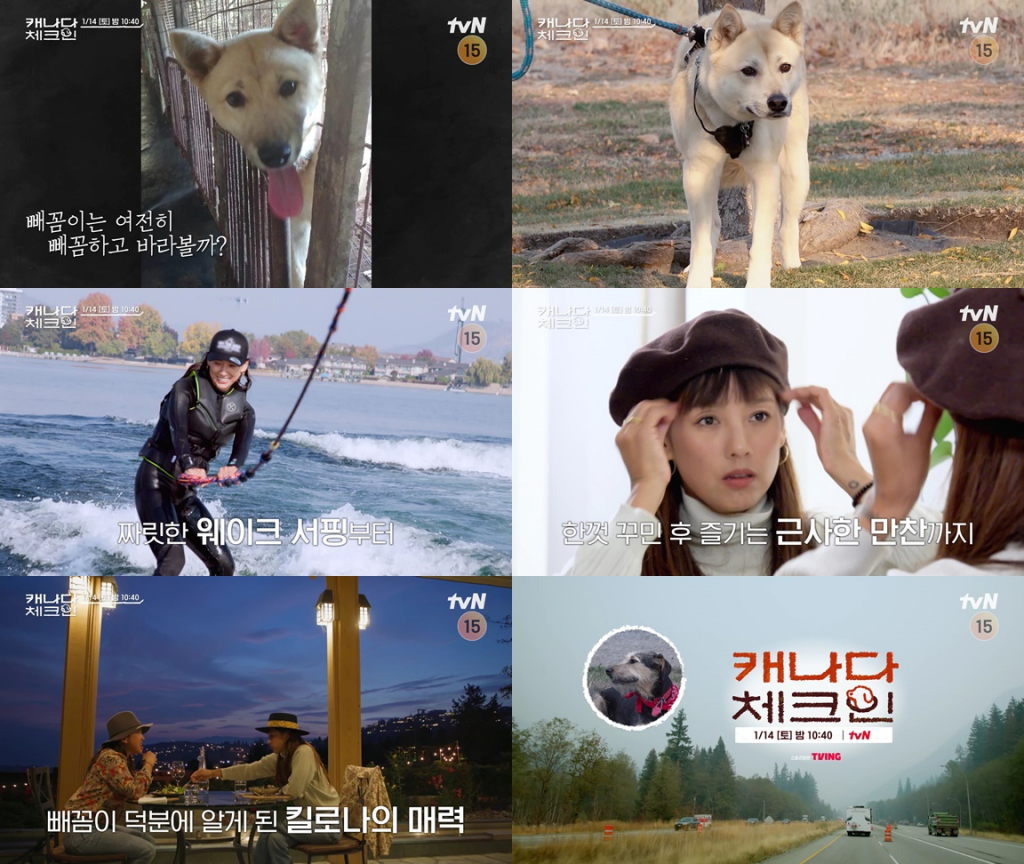 캐나다 체크인 / 사진=tvN