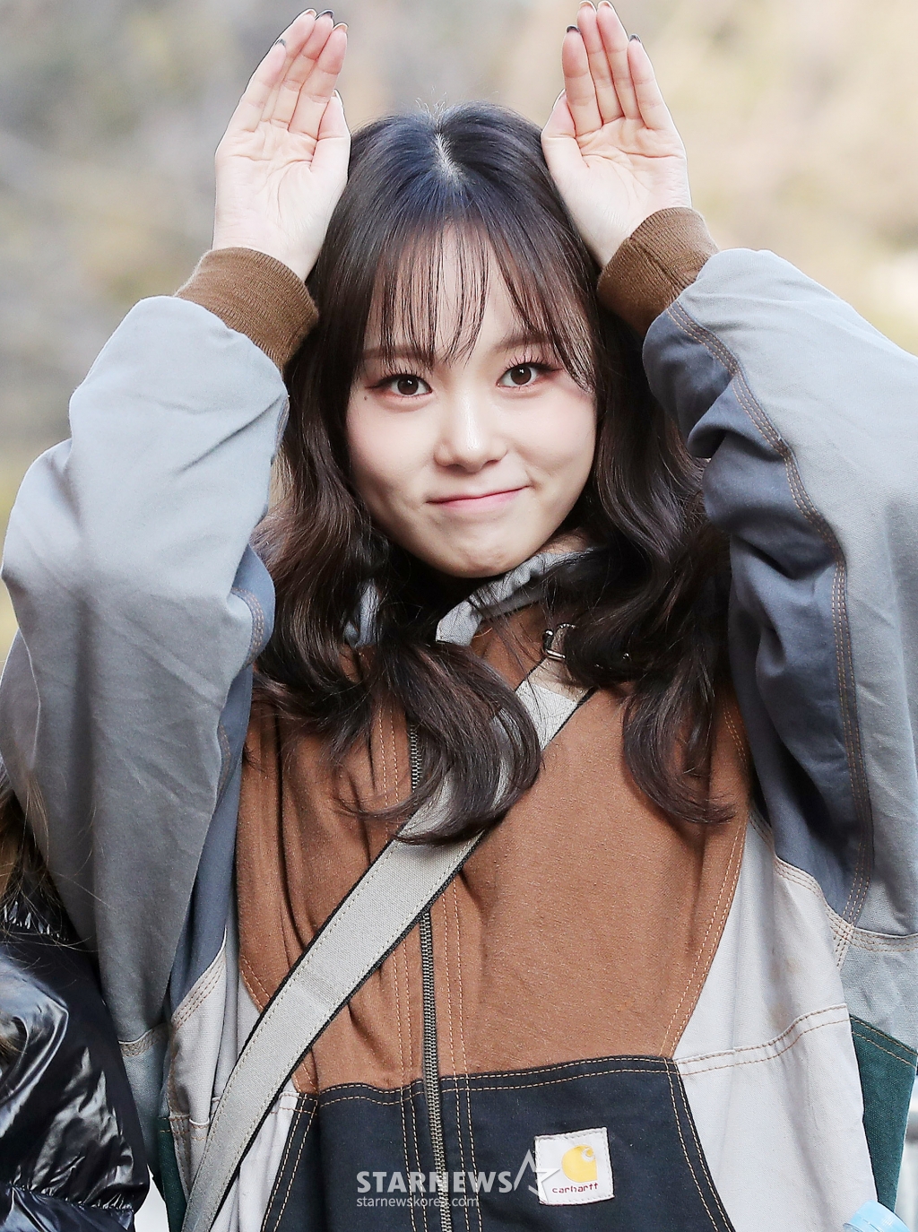 사진