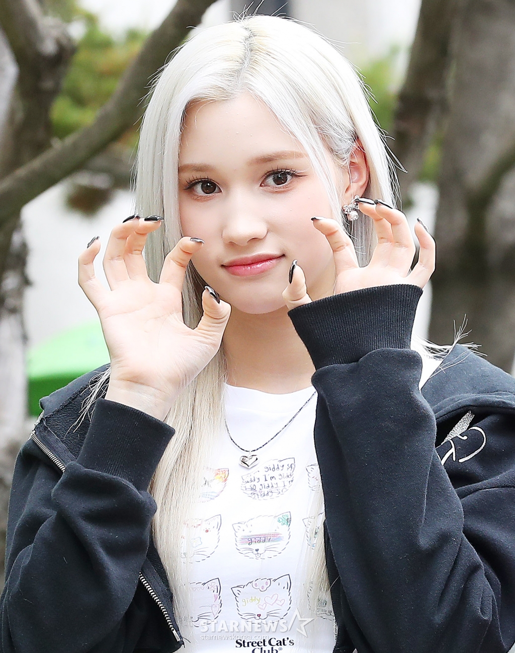 사진