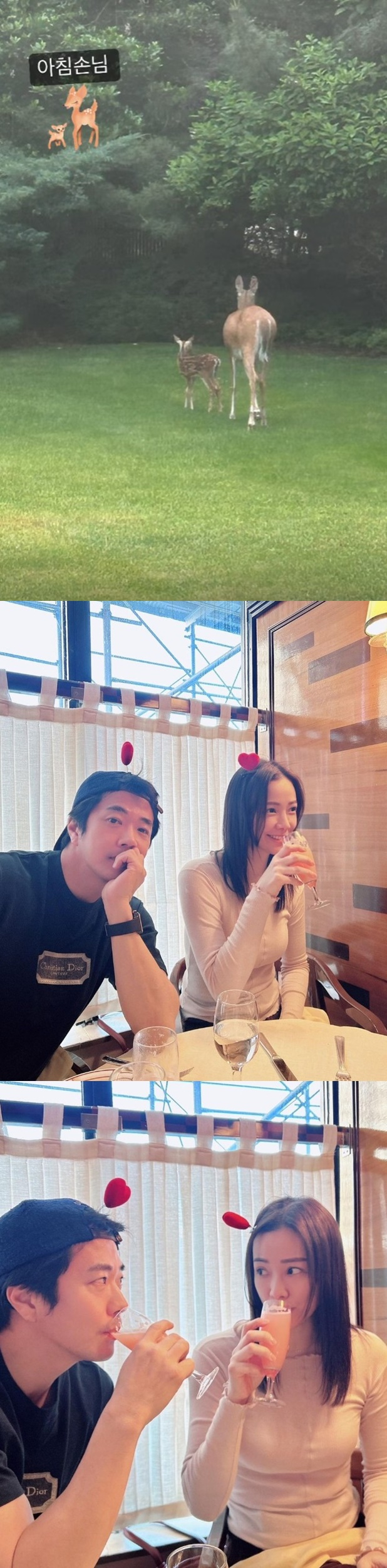 /사진=손태영 인스타그램