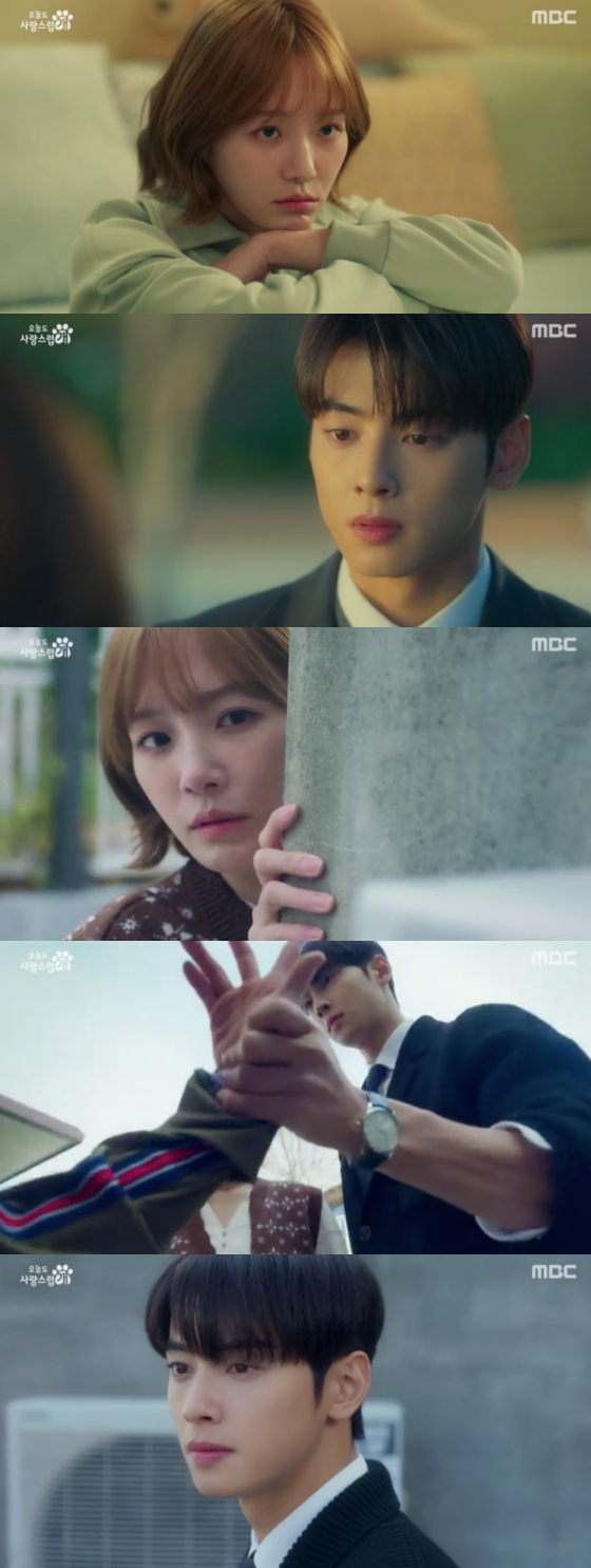 /사진=MBC '오늘도 사랑스럽개' 방송 화면 캡처