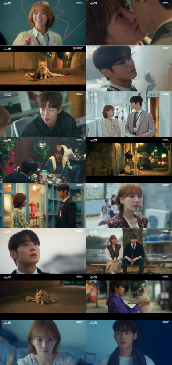 MBC 수요드라마 '오늘도 사랑스럽개'./사진제공=MBC 수요드라마 '오늘도 사랑스럽개'