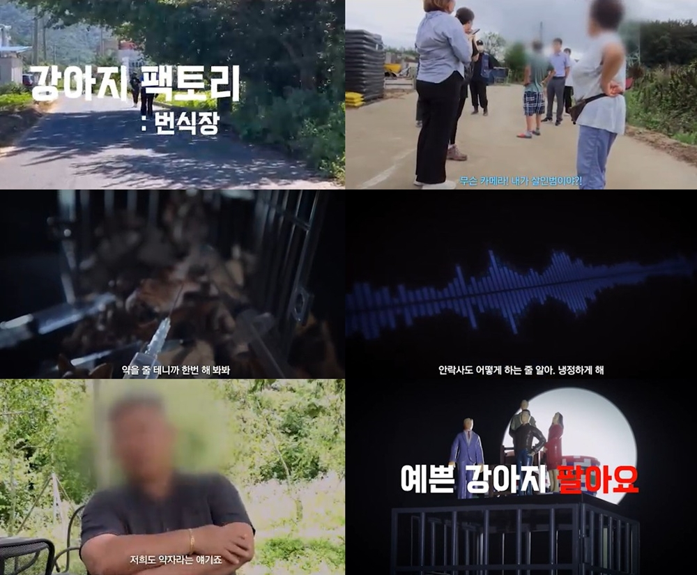 /사진제공=웨이브