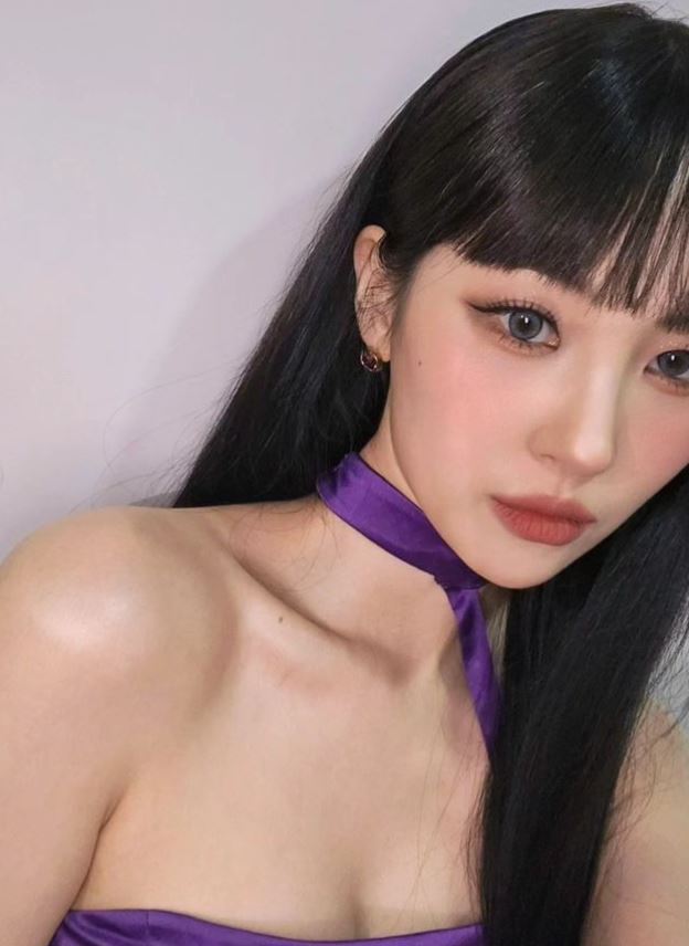 /사진=출처 선미 SNS
