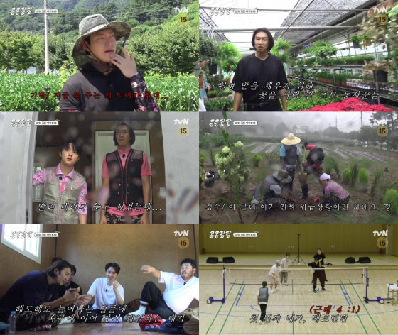 tvN '콩 심은 데 콩 나고 팥 심은 데 팥 난다'./사진=tvN '콩 심은 데 콩 나고 팥 심은 데 팥 난다' 예고 영상 캡처