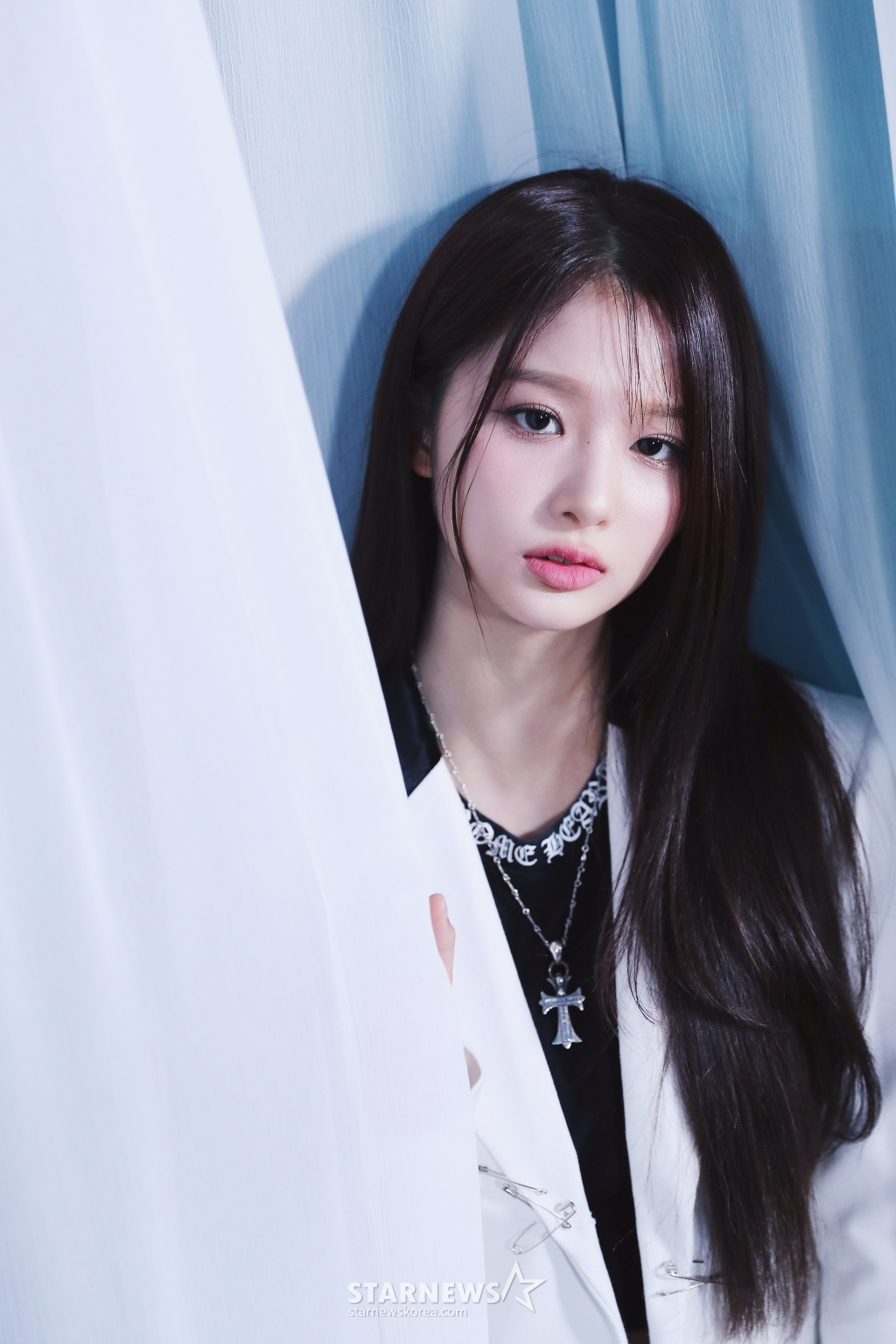 사진