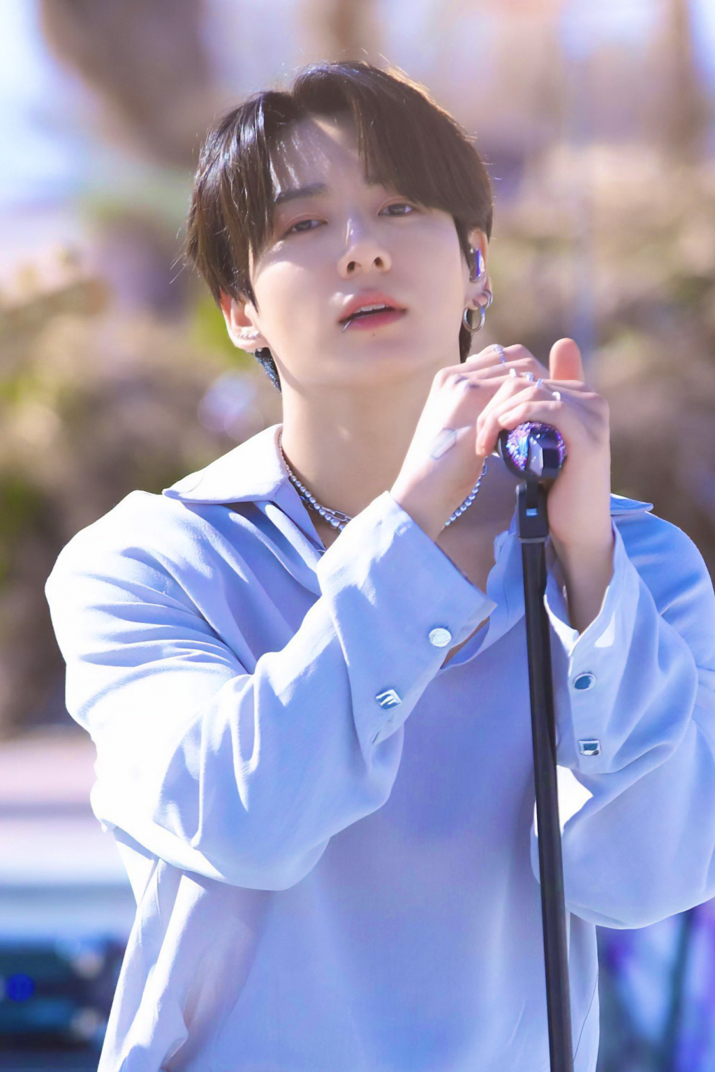사진