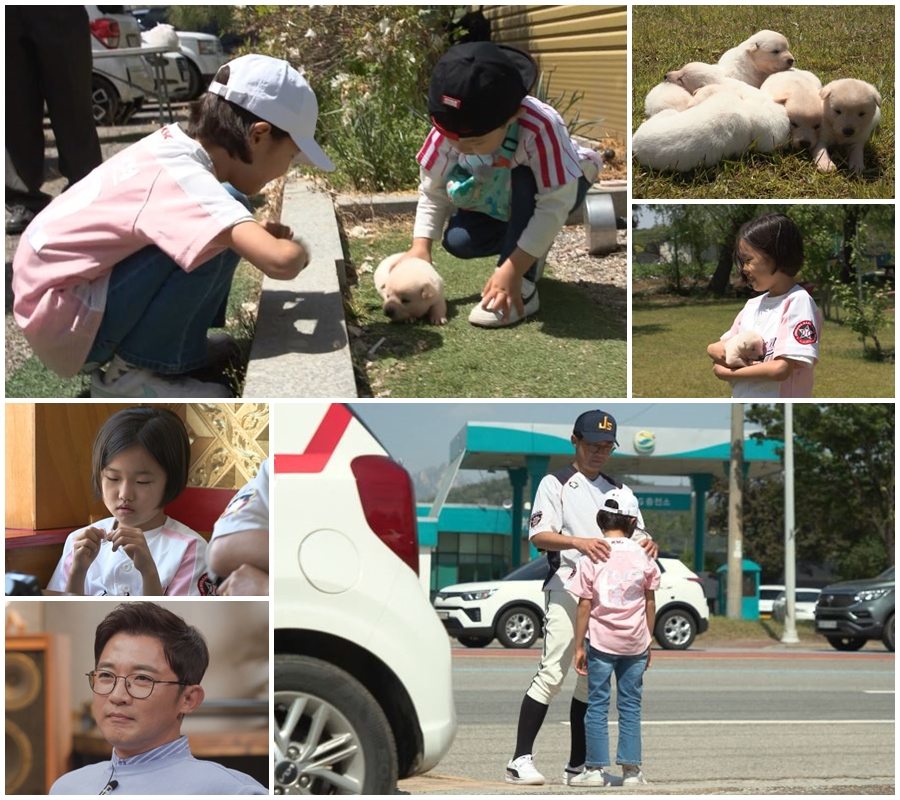 /사진=채널A