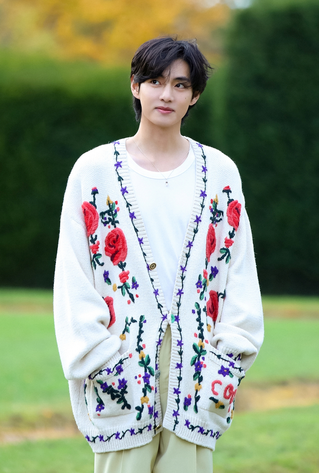 사진