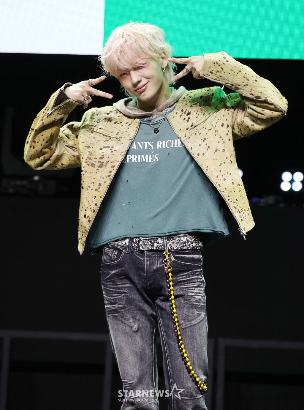 사진