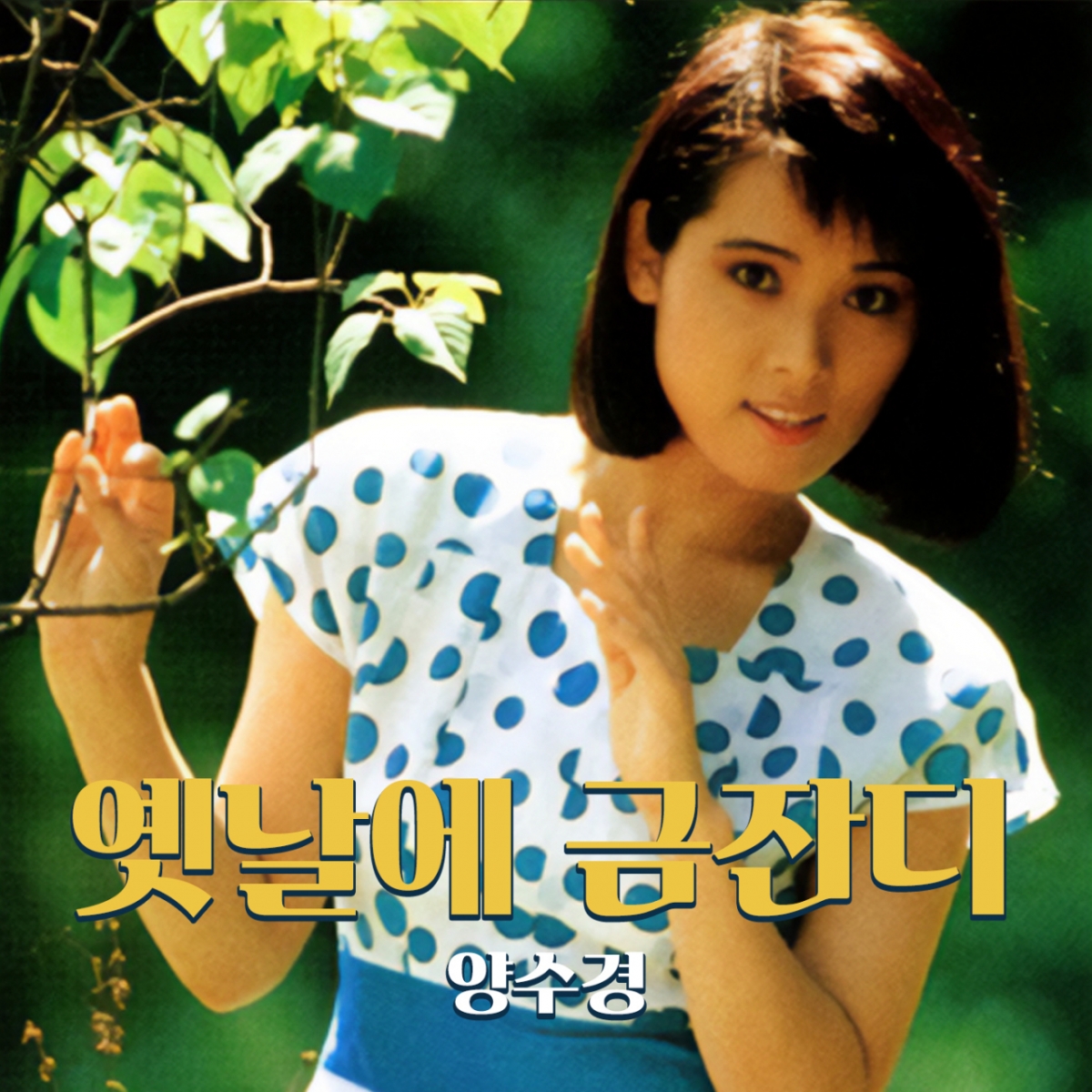 /사진제공=양수경