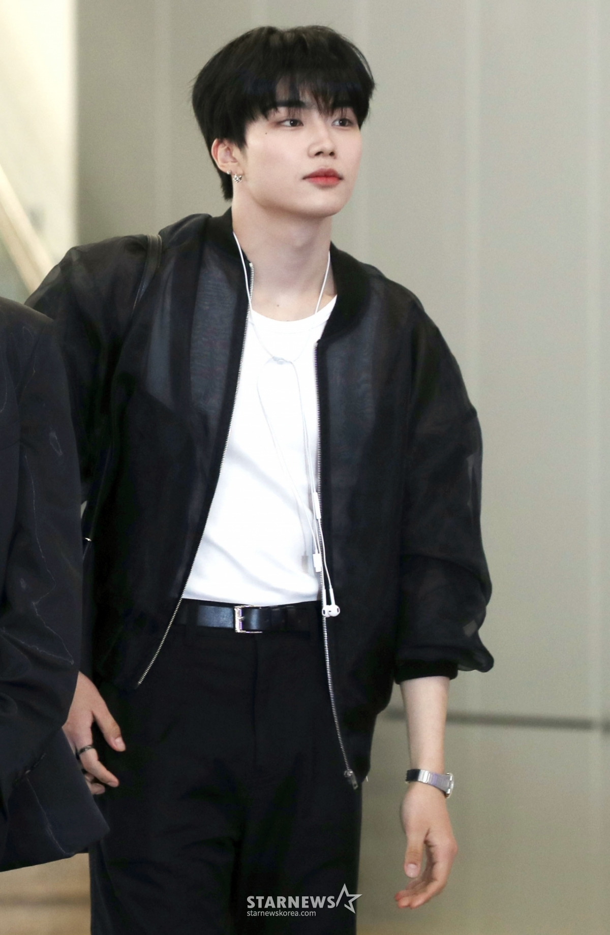 사진