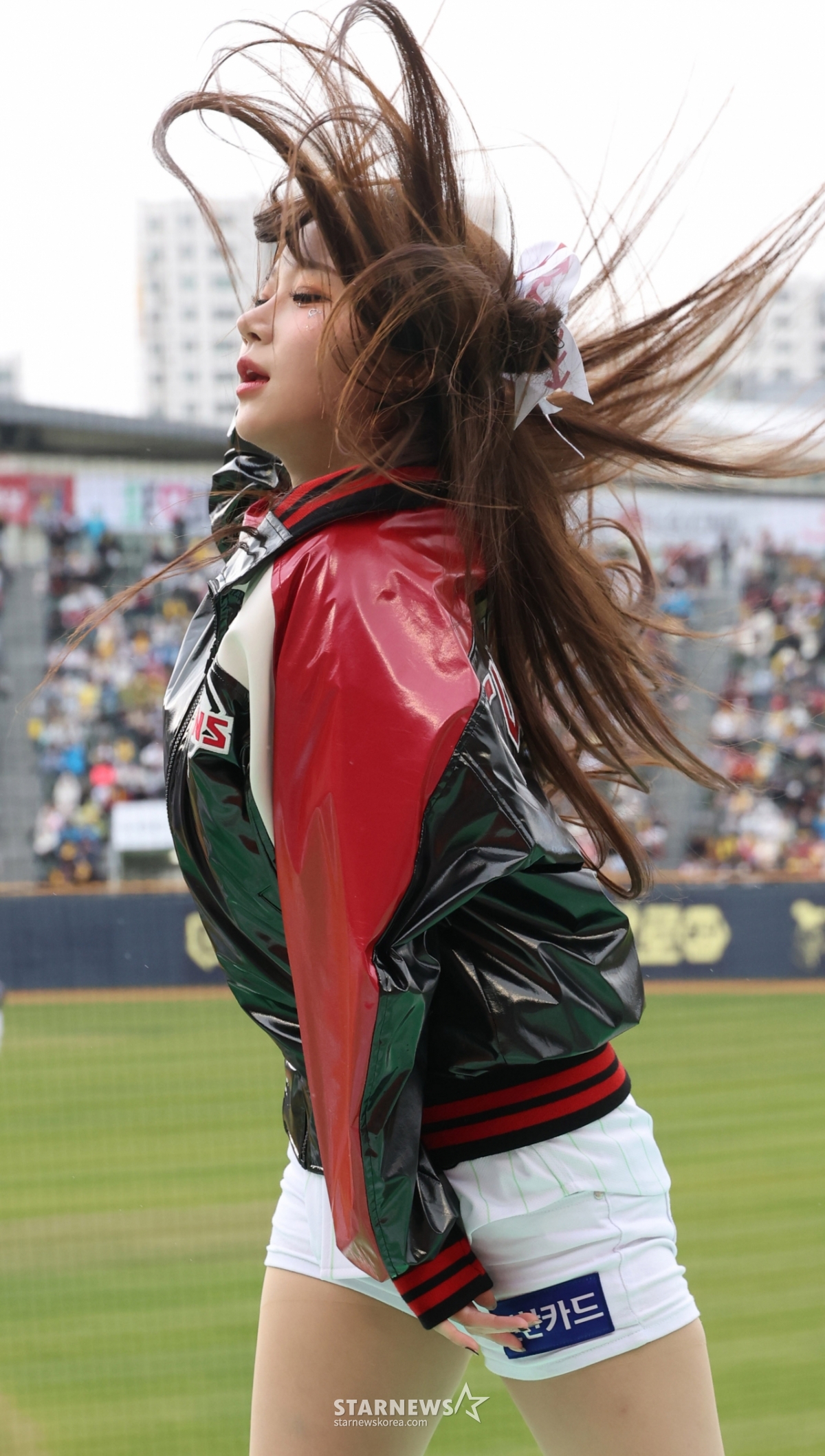 사진