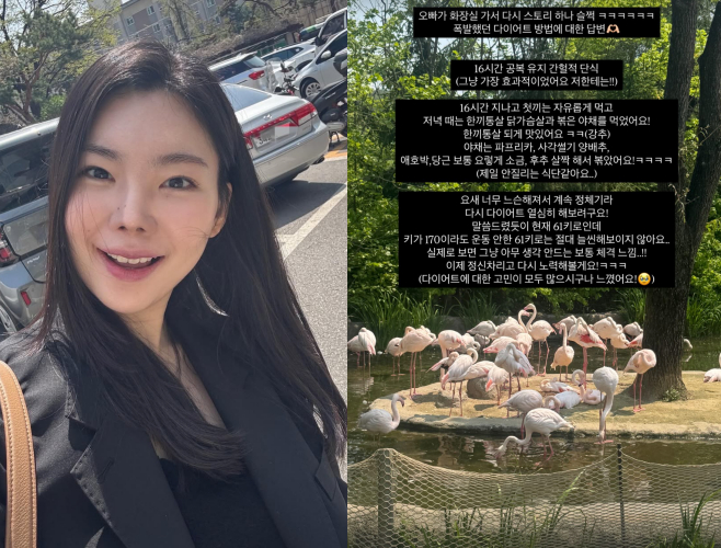 /사진=이다은