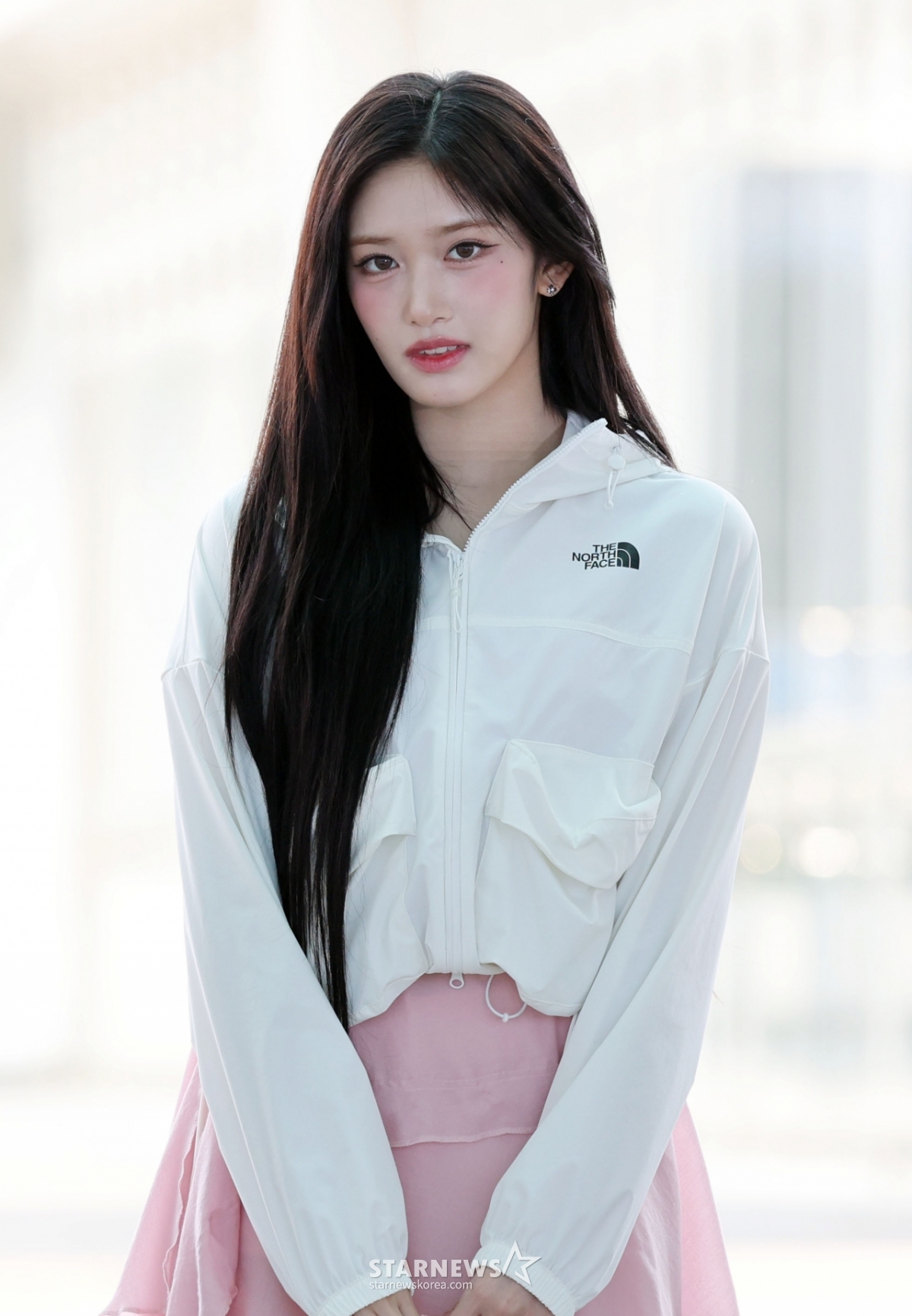 사진