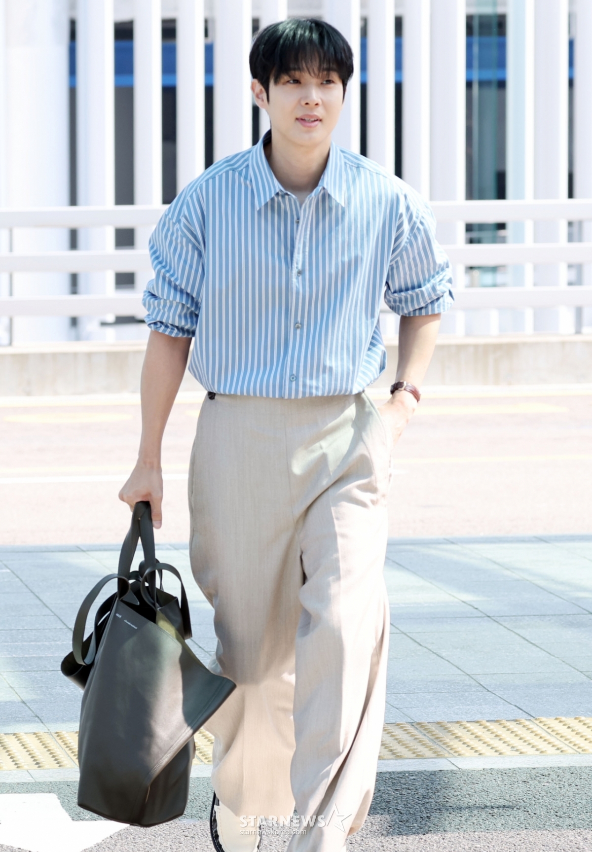 사진