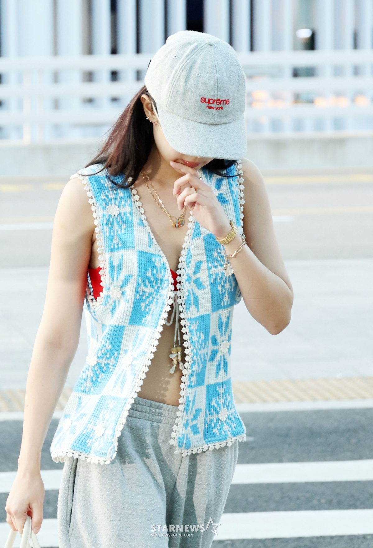 사진