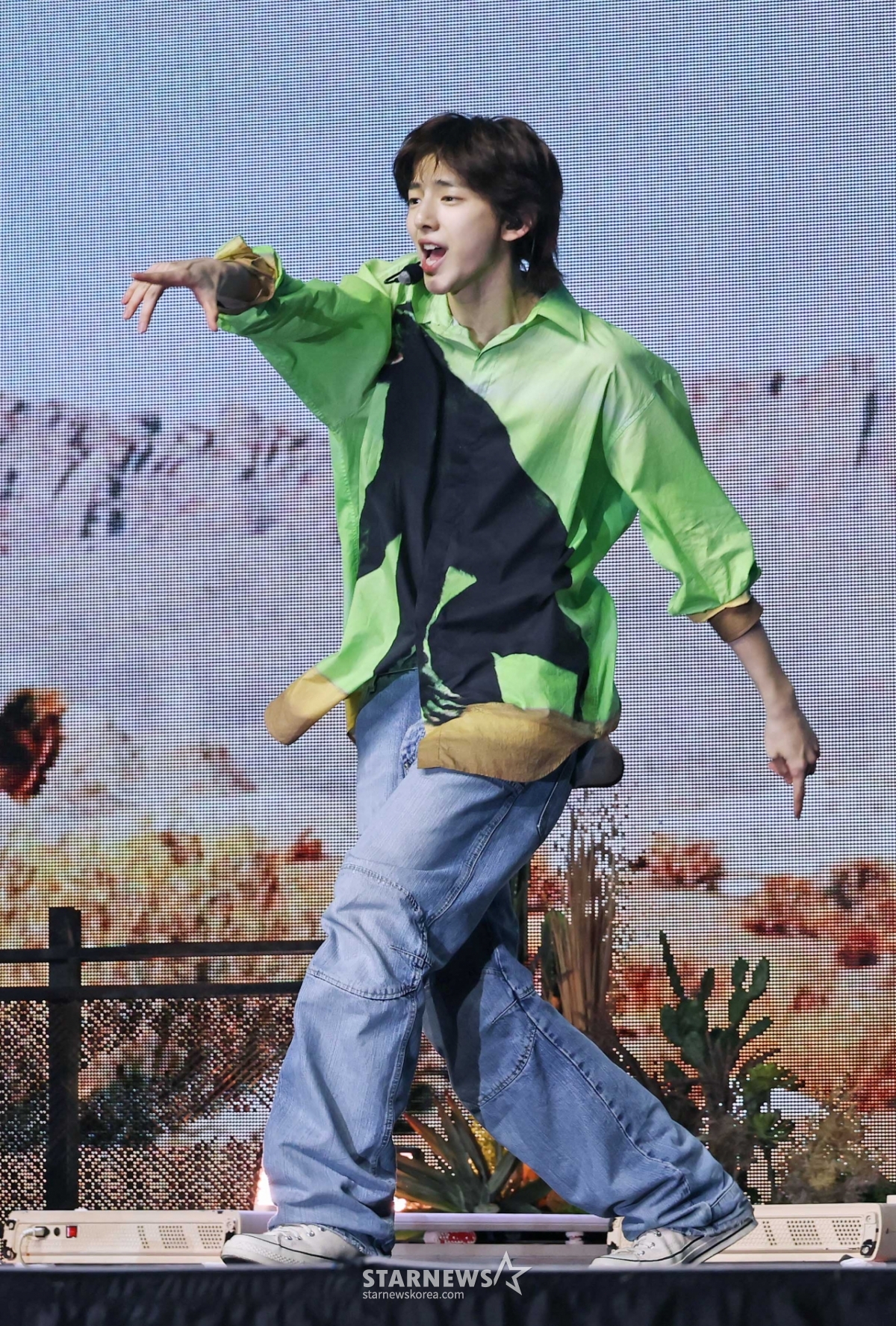 사진