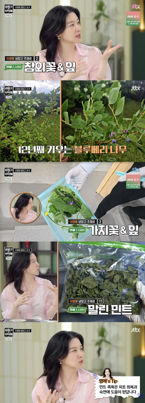 /사진='냉장고를 부탁해' 방송화면 캡쳐