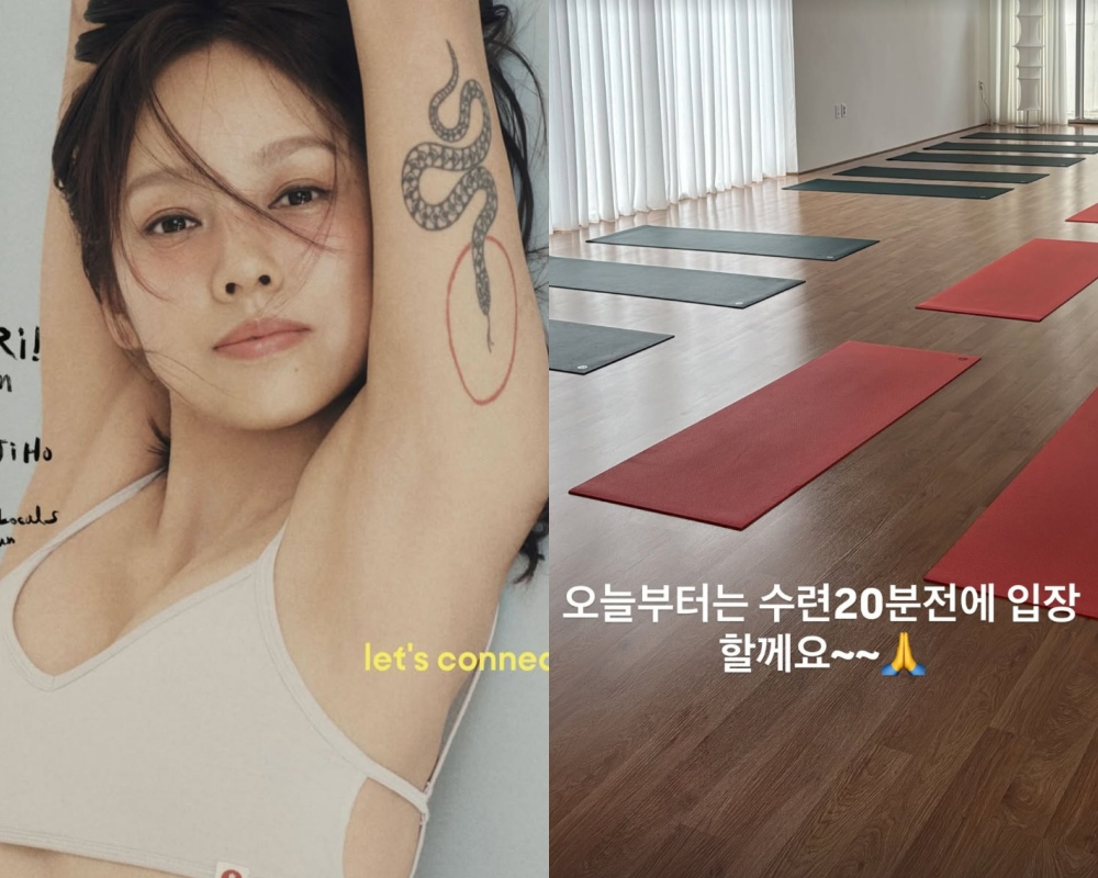 /사진=이효리 SNS, 아난다 효리 SNS