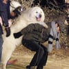 '1박2일' 대해부…'상근이는 어디서 자나?'