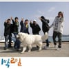 '1박2일', 대통령 美日순방 특수 재방송 12%