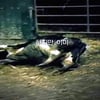 PD연합회 "EBS, '광우병' 연출PD 보복인사" 주장