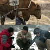 '워낭소리' '낮술' 영진위 독립영화 지원작 "빛났다"
