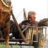 화제의 중심엔 언제나 '소'가 있었다