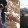 '나무없는 산', 베를린영화제 에큐메니컬상 수상