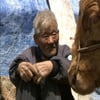 영화인協 "'워낭소리' 불법유통, 강력 조치해야"