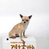 '결못남' 귀염둥이 '상구'가 누구냐