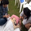 MBC스페셜 '노견만세', 반려견 버전 '워낭소리' 감동